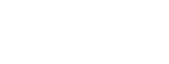 DSG, Digital Solutions Group